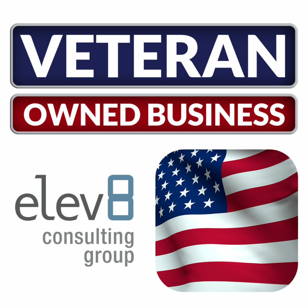 Elev8 Consulting Group CEO Angela Delmedico - Veteran Owned Business