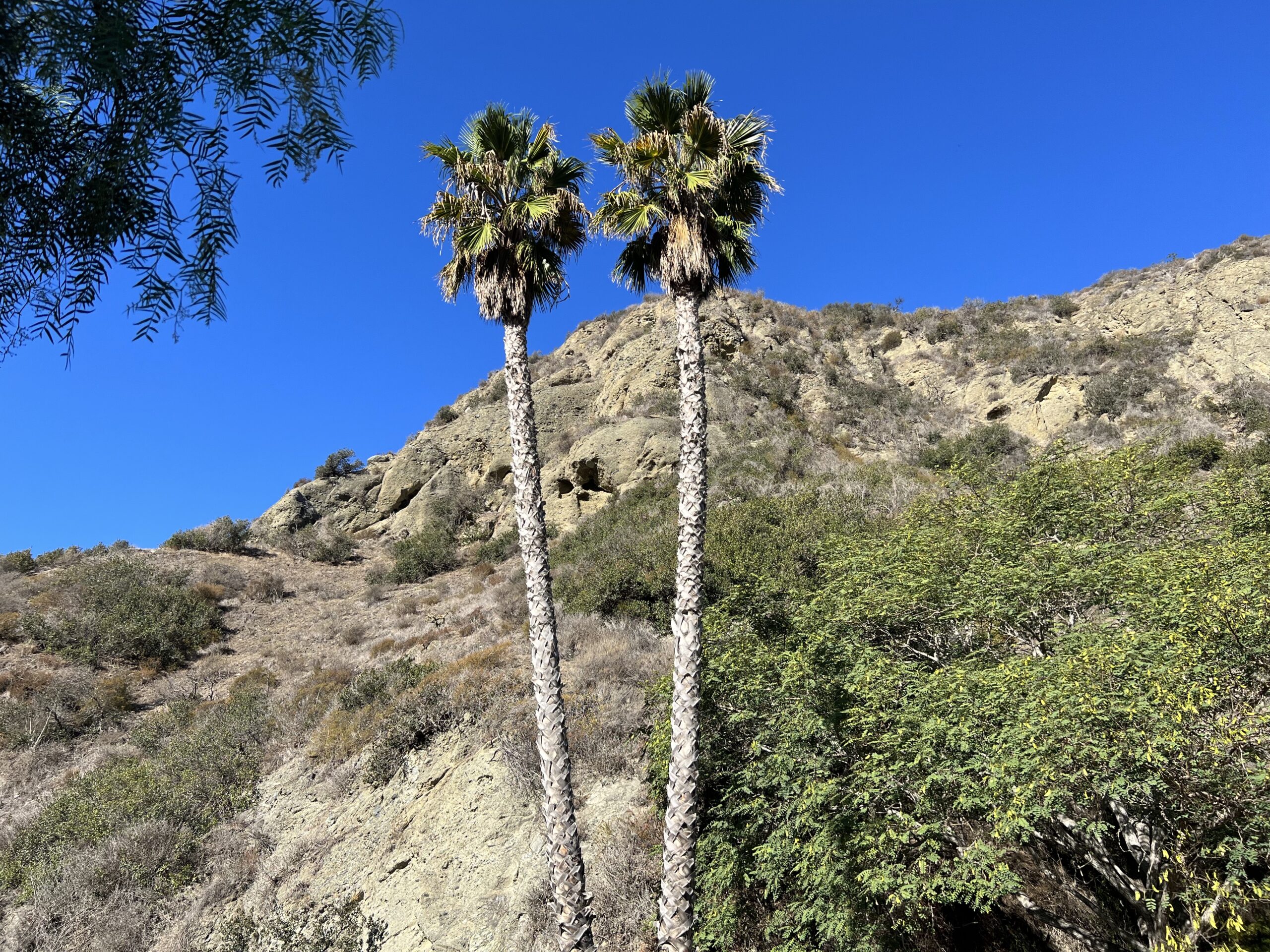 Forbes Exchange - Laguna Beach